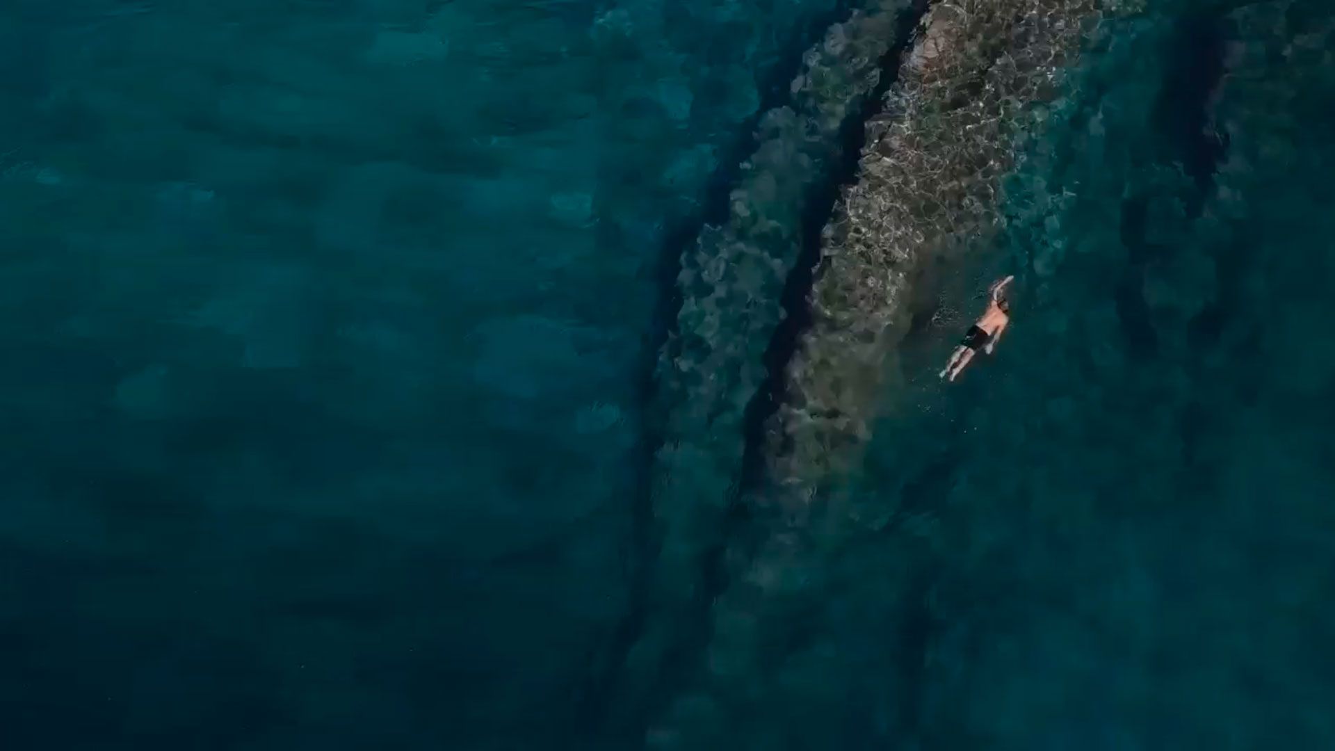 asesoria fiscal video