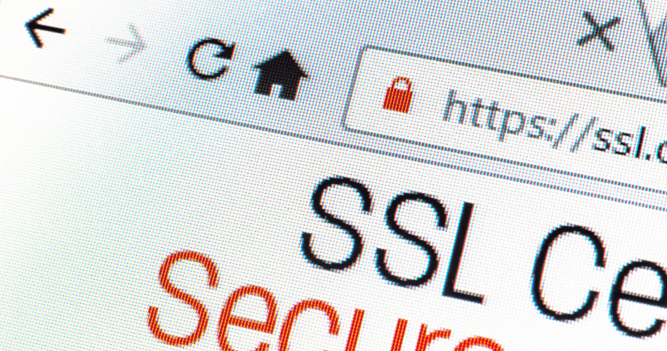 Renovar certificado digital. Tipos